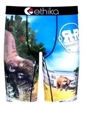 Ethika Staple Rick Ross Bustin Buffaloe Promise Land Boxers SIZE 2XL NEW